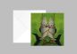 Preview: 10 x Quadratische Karte Fisch-Duo